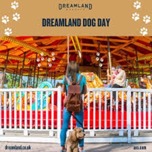 Dreamland Dog Day