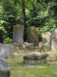 St Peter's Churchyard-120816 TDC PP 073.JPG