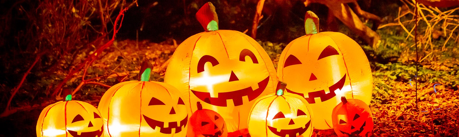 Pumpkins 2022Trickortreatlr 72