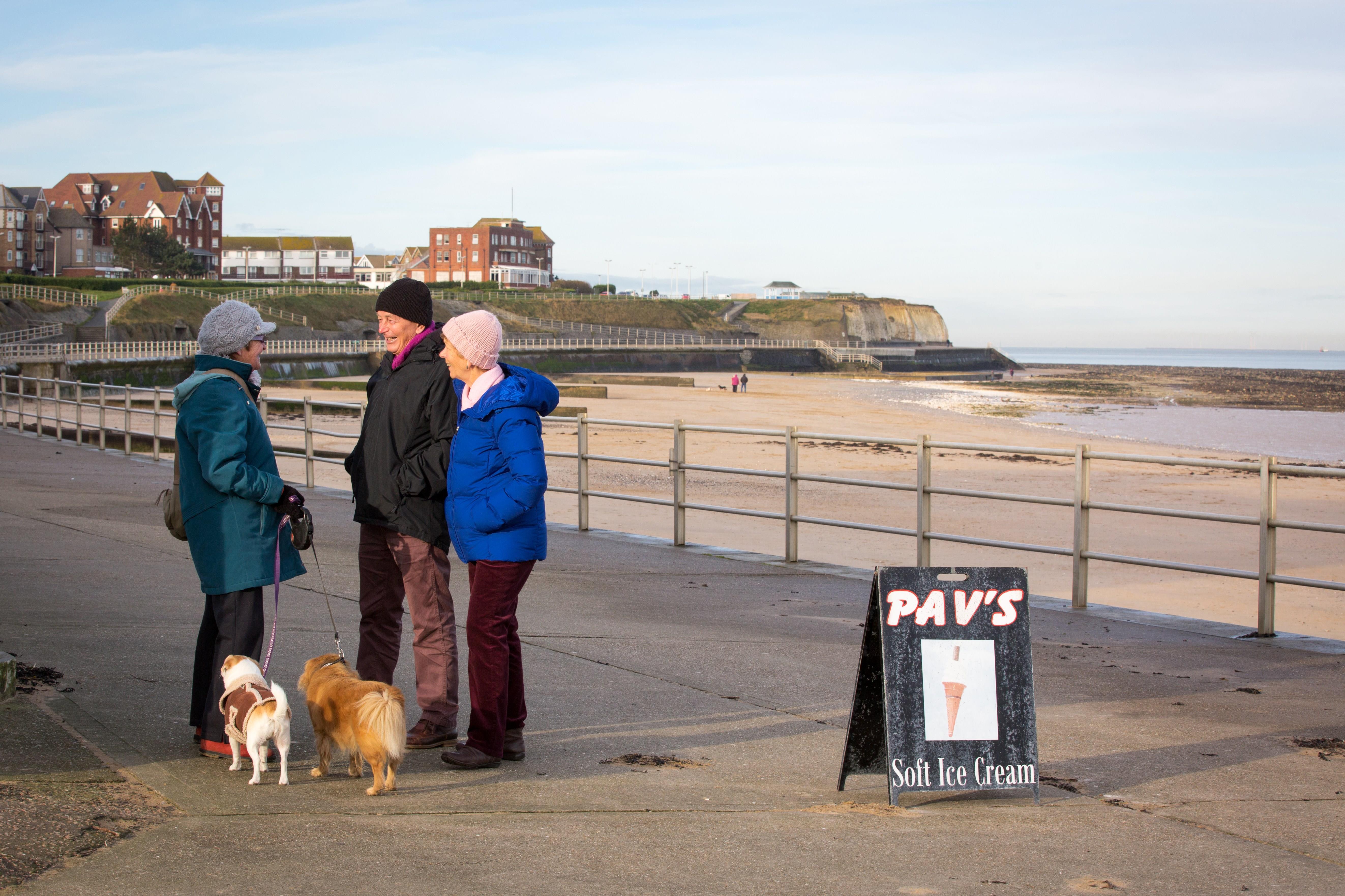 does margate beach allow dogs