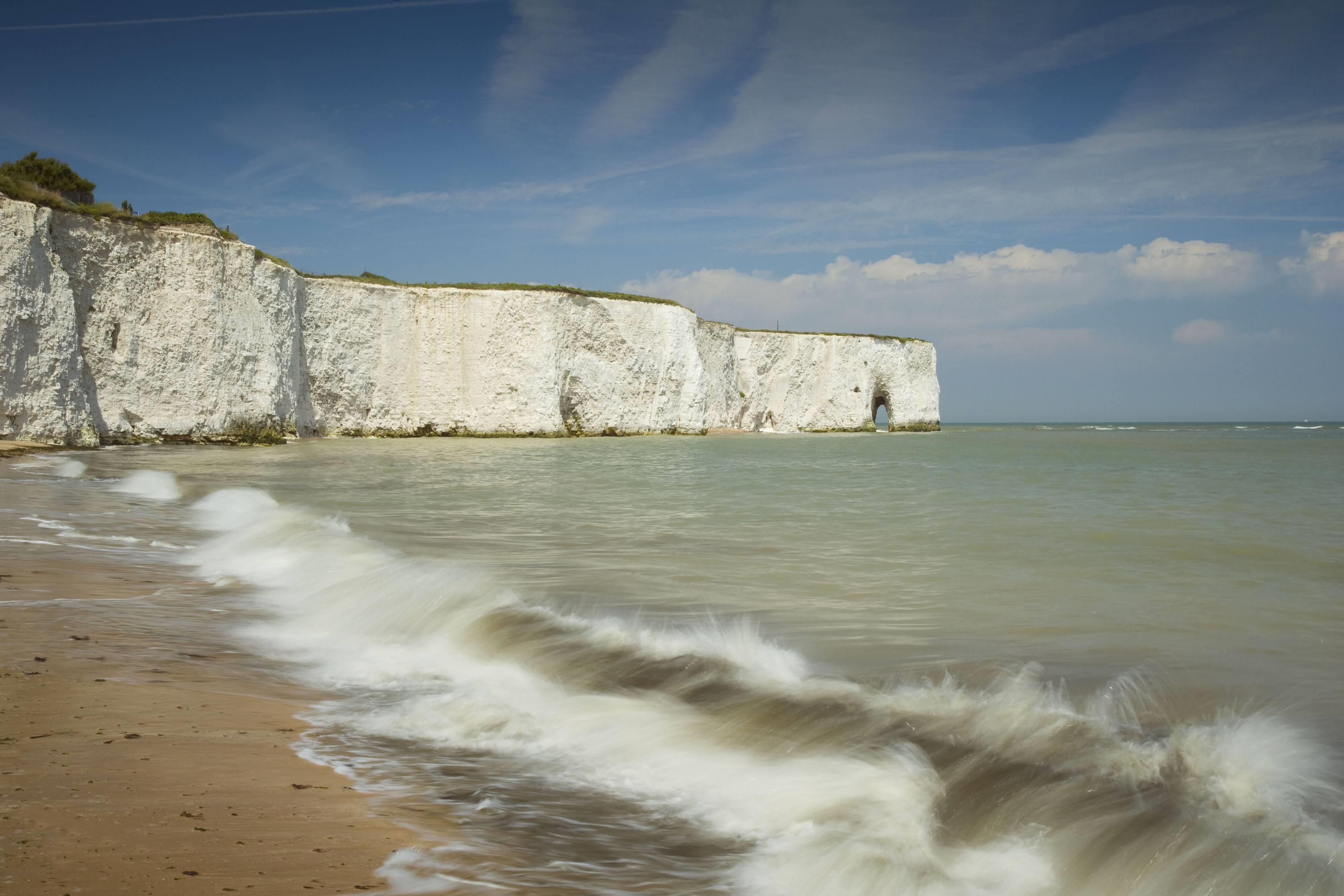 what beaches allow dogs in thanet